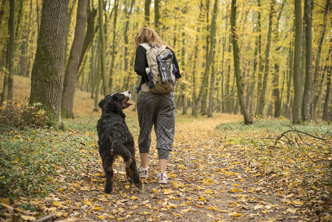 taking puppy hiking